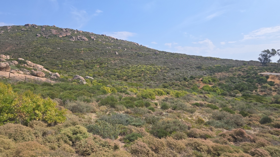 0 Bedroom Property for Sale in St Helena Views Western Cape